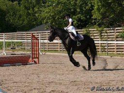 img-98691-574